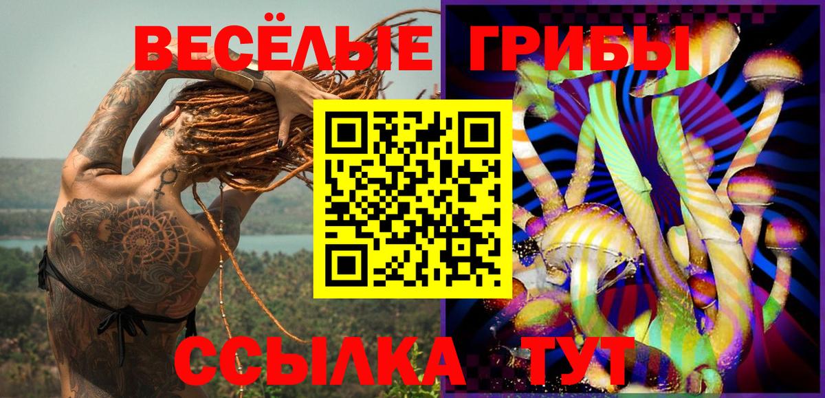 Псилоцибиновые грибы MAGIC MUSHROOMS  Вход с VPN  Галлюциногенные грибы ЛСД  Россия 